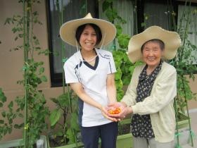 デイサービスの園芸レクリエーション