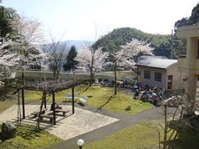 中庭（お花見）