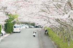 デイサービス前からの風景