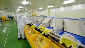 仕分け（ソーター）