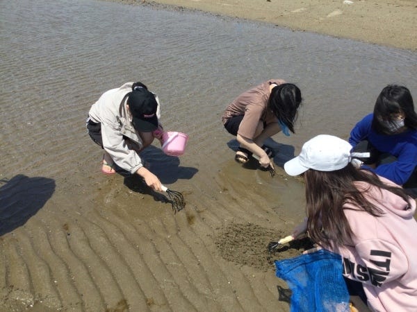 課外活動で潮干狩り。たくさんとれたかな！