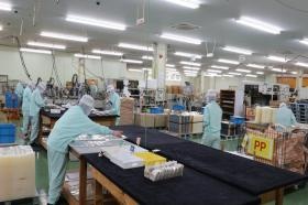 むしり工程（抜き取り作業）