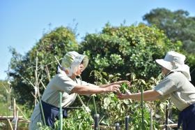 当旅館は自家農園で田畑を耕作しています。