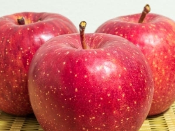 お歳暮フルーツギフトの出荷・出荷