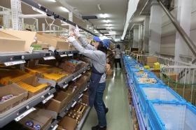 仕分け作業：点滅している棚から商品を取りカゴに仕分ける