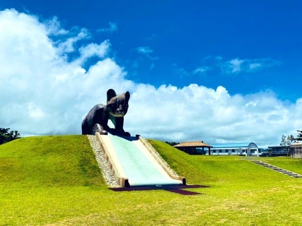 寮の近くの公園に巨大やまねこの滑り台がありますよ～！