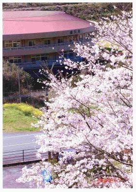 事業所の情報＿００３