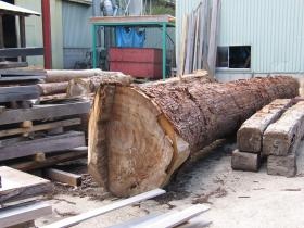 事業所の情報＿００５