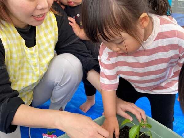 調理スタッフ・小規模認可保育園の調理スタッフ・調理師（無資格OK・経験不問）