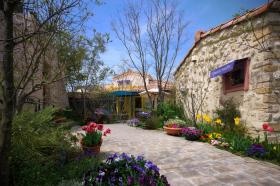 ようこそ！レストラン「キャナリイ・ロウ」へ…。