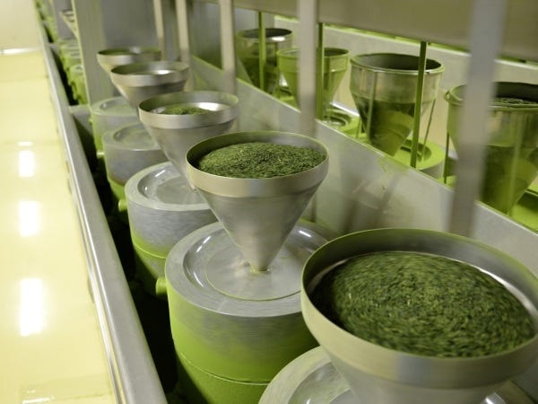 製造補助・抹茶製造補助（普通自動車免許）