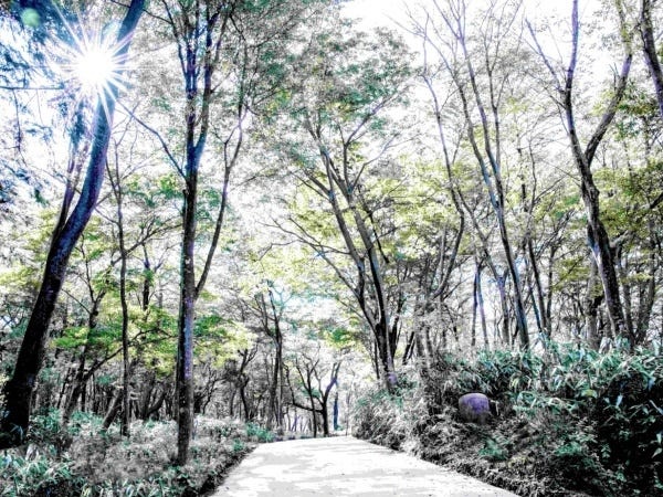 カフェスタッフ（受付や接客経験をお持ちの方歓迎・英語でのコミュニケーションできる方歓迎）