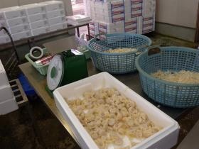 事業所の情報＿００８