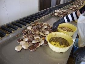 事業所の情報＿００４