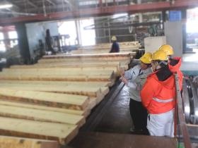 工場研修のようす