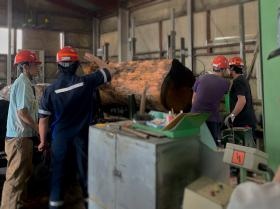 製材生産の様子