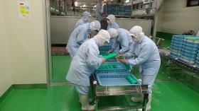 ケーシング検品（西之島）