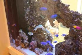 事業所の情報＿００７