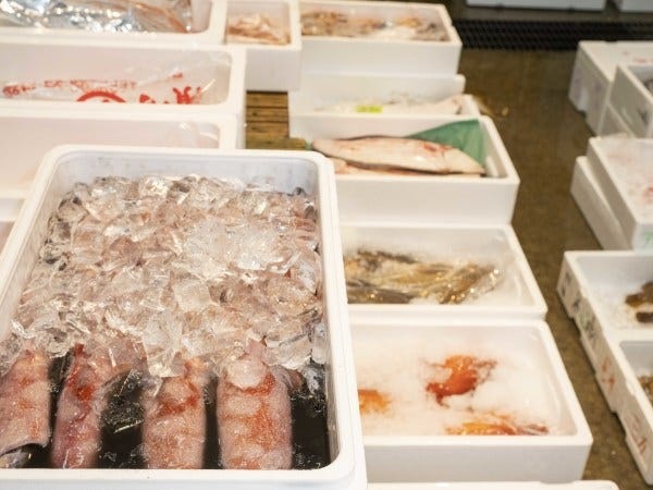 「長野に漁港を」が当社のモットー。海なし県でも当社は多くの水産が扱える貴重な水産に関われる職場です。