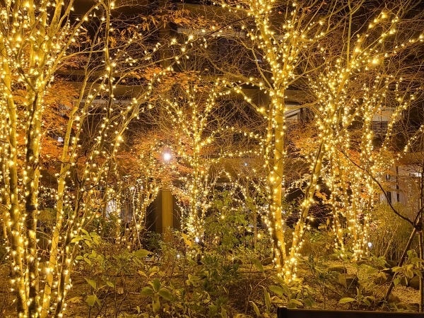 イルミネーション装飾スタッフ（未経験大歓迎・学歴不問）