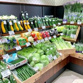 野菜売り場