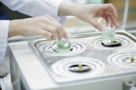 当たり前のことですが、化粧品は安全でなければいけません。