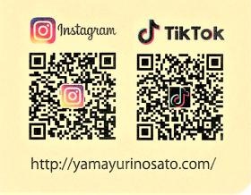 インスタグラム・ティックトック・ホームページ