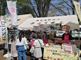 地域のお祭り風景
