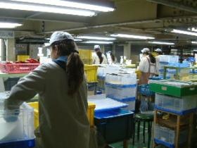 事業所の情報＿００１