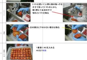マニュアルに沿って作業をします