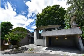 中庭にシンボルツリーがある大型邸宅をリノベーション