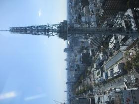 事業所屋上からの風景