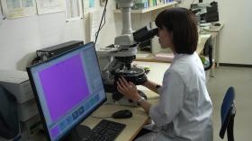 仕事の様子（環境分析）