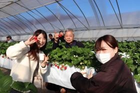 レクリエーション（いちご狩り）