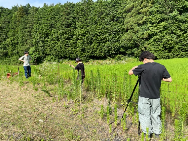 田んぼの中で再現映像の撮影もしてまりました！