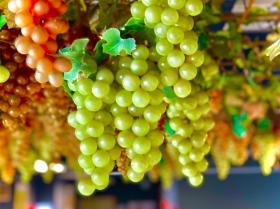 株式会社アップル情報通信サービス（岡山営業所）【風景】