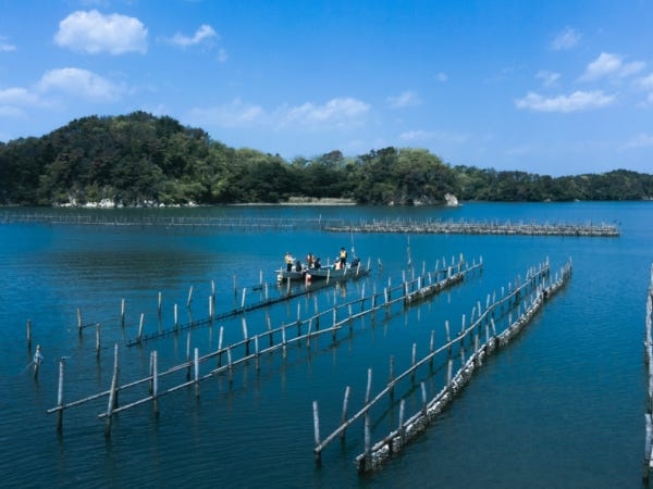 今後、水産加工品の安定供給を考えた時に、原料である水産物の一次生産に私たち水産加工製造会社も取り組んでおく必要があると考えています。