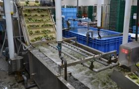 袋詰めされた製品の冷却