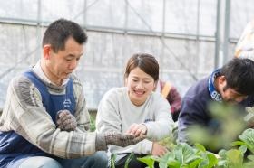 作業支援の様子