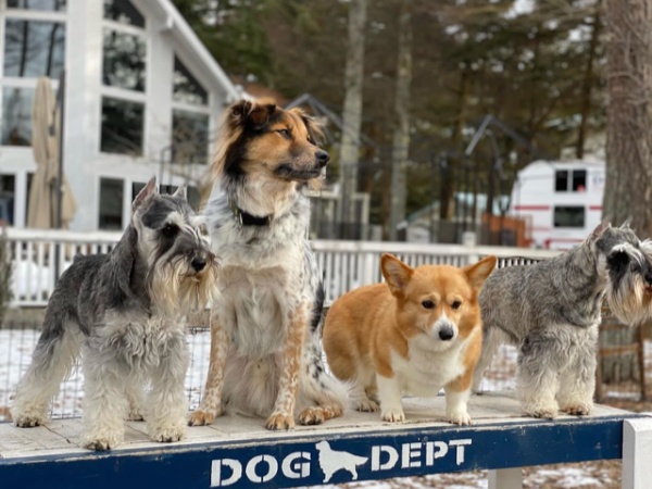 ホテルフロントスタッフ・アクセサリー販売・トリマー（わんちゃんが好きな方歓迎・明るい対応ができる方歓迎）