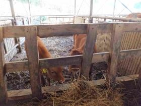 事業所の情報＿００３