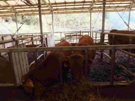 事業所の情報＿００６