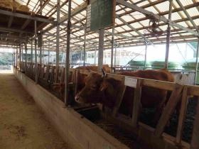 事業所の情報＿００４