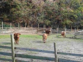 事業所の情報＿００８