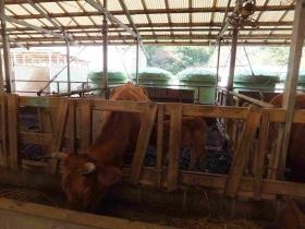 事業所の情報＿００５