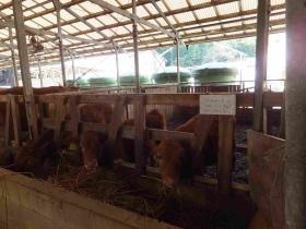 事業所の情報＿００９