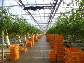 事業所の情報＿００５