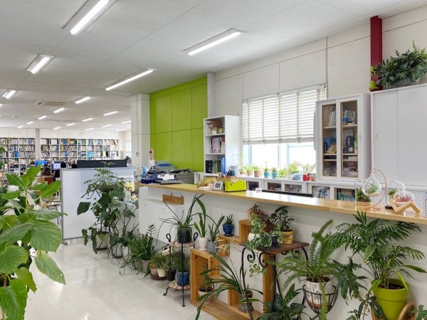 デスクワークや打合せなどを行う2Fオフィスは、明るく植物がたくさん置いてあります。