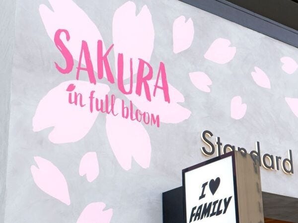 webデザイナー・おしゃれなカフェや自社のブランディングを担うWEBデザイナー・企画