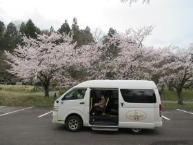 行事（お花見）